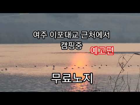 무료노지/이포대교/현재 상황안내