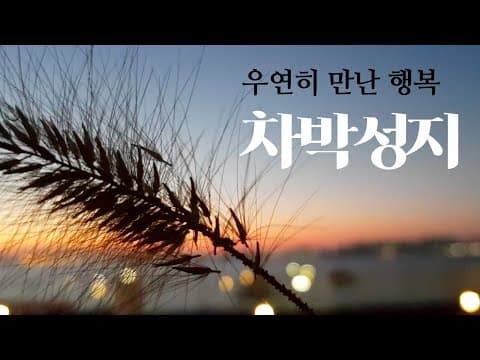 우연히 만난 행복/ 오이도 한울공원 무료주차장/ 카니발차박/차박캠핑지