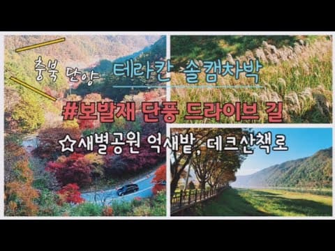 단양 새별공원 갈대밭 솔캠 차박 ㅣ단풍이 환상적인 보발재