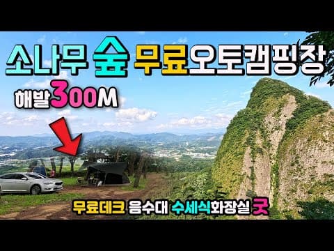 진안 백운면 솔밭거리(내동숲)