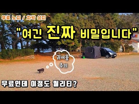 무료인데 이정도 퀄리티? 너무 좋은 곳인데 공개해도 될까 망설였습니다. 수세식화장실/개수대/모든 차종 진입가능/바다뷰/낚시/솔밭