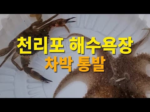 만리포~천리포 해수욕장까지 가을캠핑,노지차박