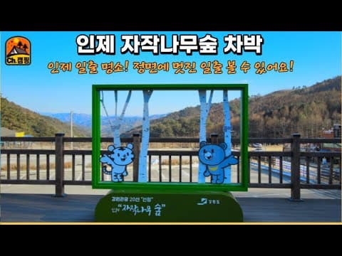 [차박 캠핑] 인제자작나무숲 무료 차박 멋진 일출 볼 수 있는곳!