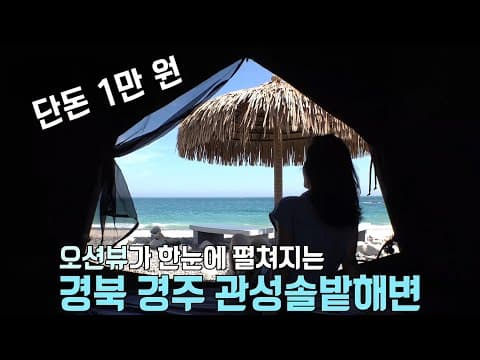 오션뷰 차박의 성지 '경북 경주 관성솔밭해변'