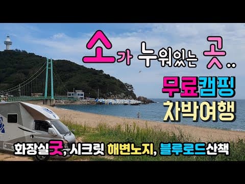 영덕 축산항 축산해수욕장 해변에 바로 주차하고 무료캠핑 항구가 있는 동해안 해파랑길 불루로드 차박여행지를 소개합니다. #해변차박 #차박 #캠핑 #차박여행