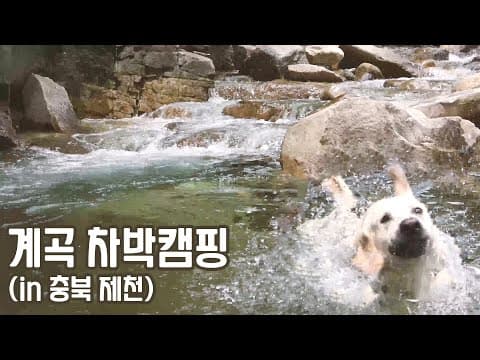 충북제천 차박캠핑🧡#능강계곡 #계곡차박