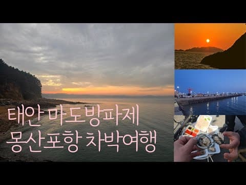 태안 마도방파제 몽산포항 차박여행