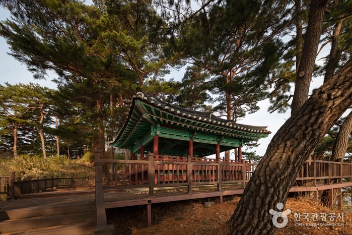양양 죽도해변
