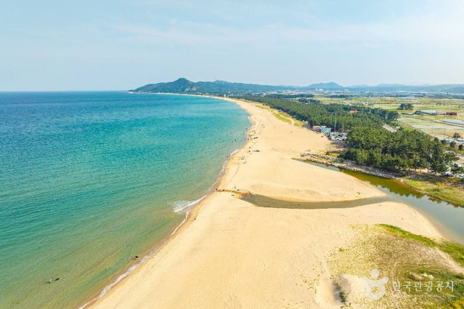 영덕 고래불해변