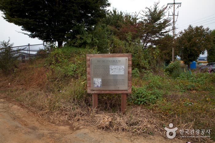 파주 주월리