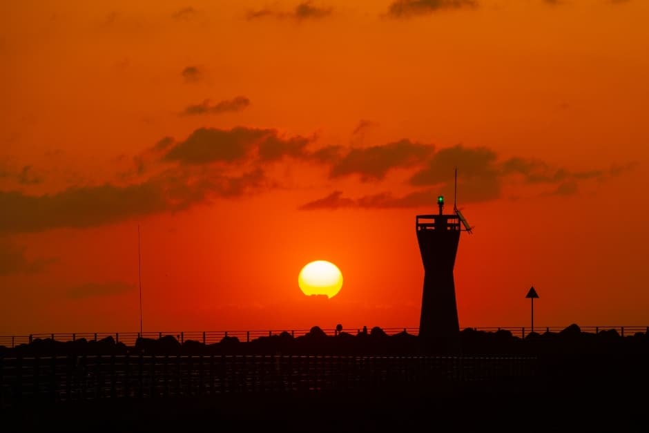 고성 거진항