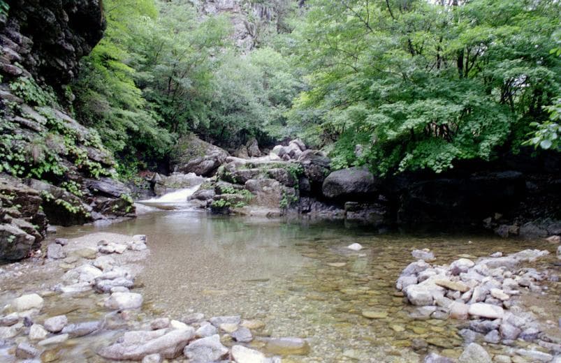 포천 지장산 계곡
